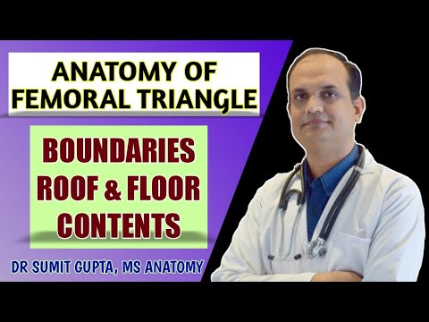 FEMORAL TRIANGLE : ANATOMY