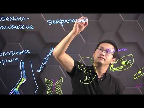 Evidence of evolution. Grade 10.