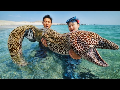 Oman caught giant moray eel, body length of 2 meters ferocious like a python!