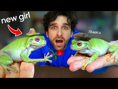 I Gave My Frog a GIRLFRIEND... (IT WAS BAD)