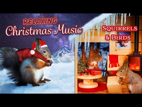 Christmas In Squirrel Village  | Relaxing Christmas Music ( 1 Hour )