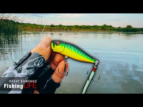 ЛОВЛЯ ЩУКИ НА ПОПЕР - Як Ловити Щуку ЛІТОМ