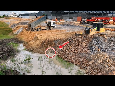 Bulldozer DH17C3 Clean Perfectly Pushes! Digs soil Using a drill, Pushes Rocks,Forestry Work Debris