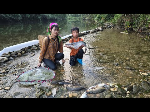 repair the house, dam the stream to catch fish to sell, and cook delicious meals - Highland boy