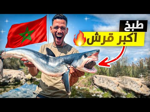حياة البرية: تحدي تحضير وصفة سمك القرش العملاق 😱تقطيع وطبخ سمك القرش 🦈Cood the biggest shark