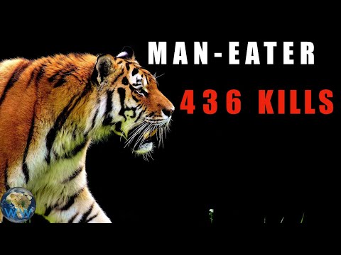 What Makes A Man-Eater?