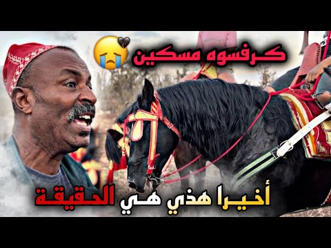 🚨حـصـان لتكرفسوا عليه مسكين 😭 هـذي هـي الحـقيقـة ديالوا 😱 ومفاجأة فيه مواصفات لي كحب الرسول (ص)…