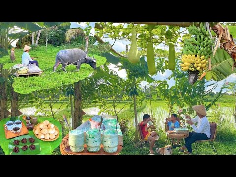 The Magic of Simple Living within the Rural Philippine Countryside | Native Oven, Copra Production