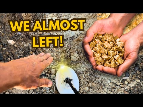 We Were Leaving… Then One Faint Signal Changed Everything