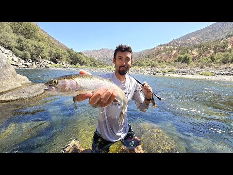 Overnight Wild Trout Catch and Cook in Remote Wilderness