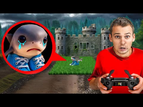 A drone finds Traralalero Traralala – Traralalero the shark has lost his mother | English: