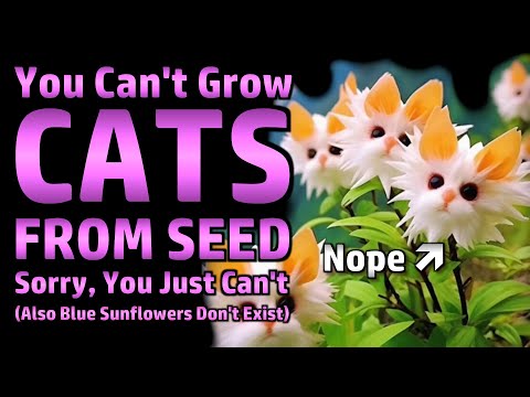 Seed Scams.  There Are No Blue Roses, Blue Sunflowers, or Cat Face Flowers