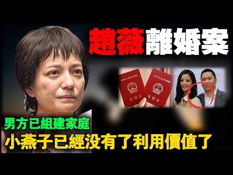 赵薇1590万资产被冻，国内债务缠身海外吃香喝辣，她的手段有多狠？