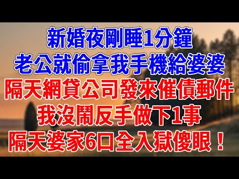 新婚夜剛睡1分鐘，老公就偷拿我手機給婆婆。隔天網貸公司發來催債郵件，我沒鬧反手做下1事，隔天婆家6口全入獄傻眼！#為人處世#經驗#情感故事#戀愛#情感#婚姻#人生感悟