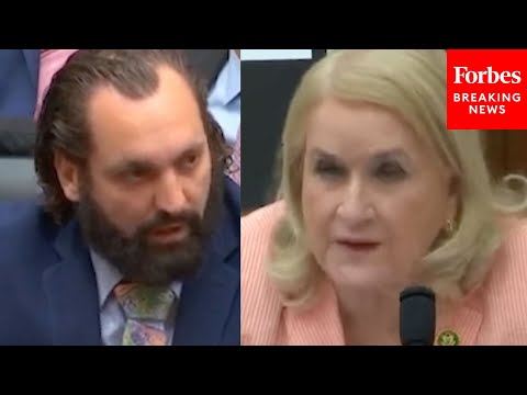 FBI Whistleblower Clashes Wtih Sylvia Garcia At Weaponization Hearing: 'That's False'