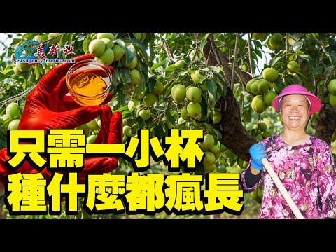 Just a small cup will make anything to grow like crazy