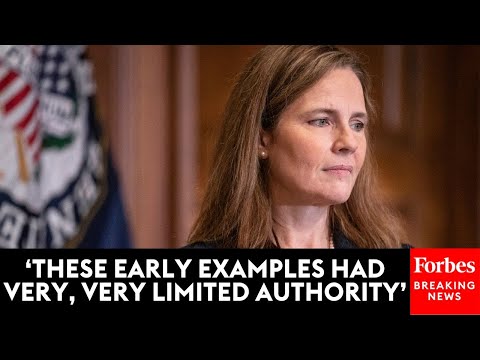 'You Have To Concede At Least That': Amy Coney Barrett Rips Apart Attorney's Fed Agency Examples