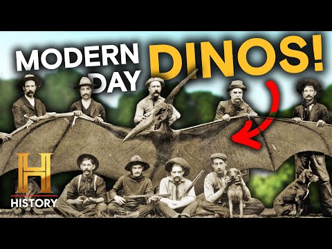 Undiscovered Dinosaurs Revealed | The Proof Is Out There | History