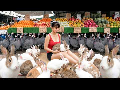 [TIMELAPSE] -- 909 Days Harvesting A Lot Of Rabbit, Guinea Fowl Go To Country Market Sell