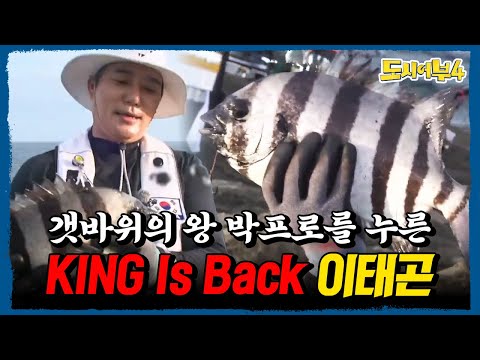 "4짜 이하 관심 없음” KING 이태곤 귀환! 갯바위의 왕 박프로를 이긴 진짜 왕 등장🔥 | #도시어부4 9회