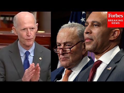 'The Government Has Been Shut Down For 39 days Because Of—Democrats': Scott Trashes 'Heartless' Dems