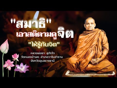 สมาธิ เอาสติตามดูจิต ให้รู้ทันจิต : หลวงพ่อชา สุภัทโท #44