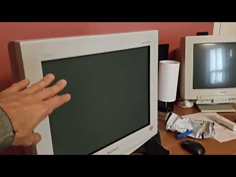 Monitor CRT Sony Trinitron G520 Extreme Restoration+++