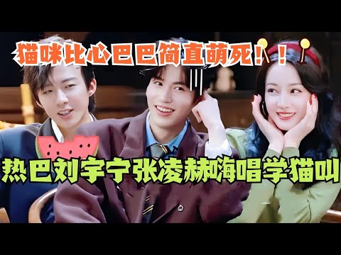 热巴刘宇宁张凌赫嗨唱学猫叫！猫咪比心巴巴简直把我萌死！#综艺 #娱乐 #dilraba #迪丽热巴 #刘宇宁 #张凌赫 #开始推理吧