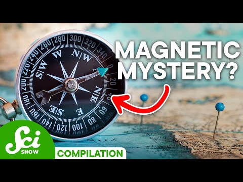 What Do Magnetic Fields Actually Do? | SciShow Compilation
