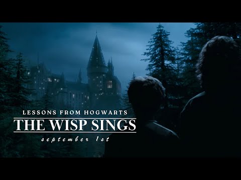 Lessons from Hogwarts.