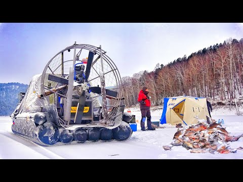 ВОЛОСЫ ДЫБОМ ОТ ТАКОЙ РЫБАЛКИ С НОЧЁВКОЙ! ВОЛКИ РЯДОМ! ЩУКИ СХОДЯТ С УМА, МЕШОК ЛЕЩА И ОКУНЯ