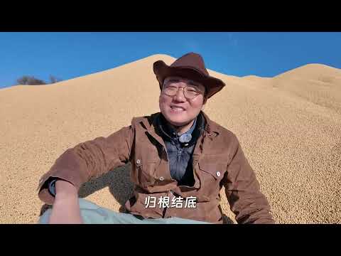 在远东种大豆，是亏还是赚？我的“八十垧农场”详细账本来了!