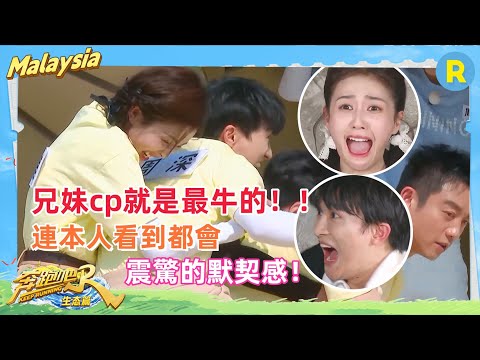 #周深 #白鹿 好“美麗”的兄妹情！撕名牌抱團聯盟！玩遊戲默契爆棚！