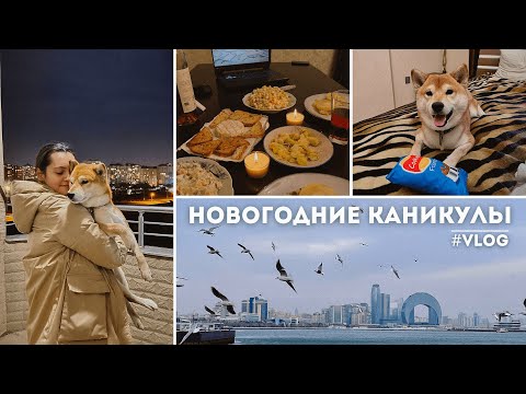 Новогодние каникулы: отдых, прогулки по городу, кино | Ичеришехер | Сумгаит | Первый СНЕГ в Баку