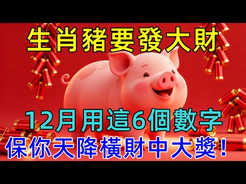 生肖豬要發大財，12月用這6個數字，保你天降橫財中大獎！#生肖运势#佛陀#佛學 #佛法 #佛教 #修行 #智慧 #因果 #佛家  #佛學知識 #佛學智慧 #修心修行 #佛教文化 #禪悟人生 #傳統文化