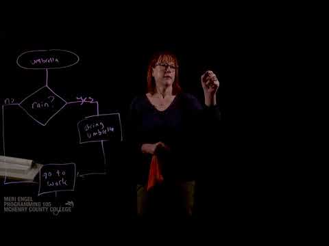 Chapter 3: Decision Structures & Boolean Logic - PRG105