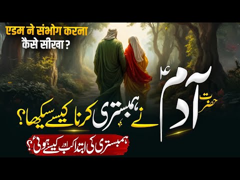 Hazrat Adam As Ne Hambistari Karna Kaise Sekha | Islamic Waqiat in Urdu | Almufeed Islamic