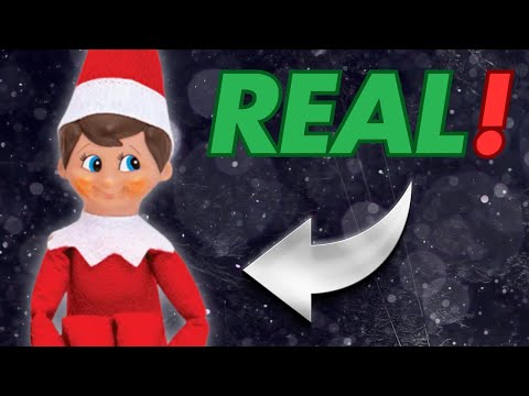 I Proved ELF ON THE SHELF Is Real