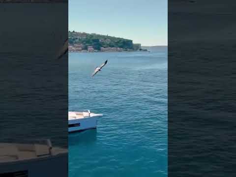 'They've even got as far as talking prices' #sustainabledevelopment #luxurylifestyle #luxuryboat