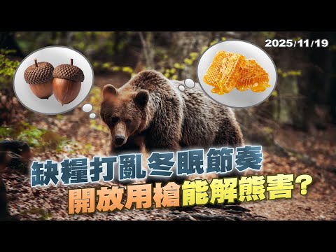 熊不冬眠了? 日本自衛隊警察齊出動 "開放用槍"真能解熊害?｜公共電視 - 尖鋒對話