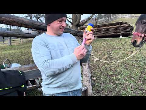 ⚜️Кузня Тафійчука Івана та гельмінтизація домашніх улюбленців 🌲🌲🌲