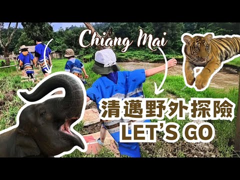 清邁親子超強攻略來了🔥！！教你泰國輕鬆叫車🇹🇭原來清邁超適合親子！/摸老虎/大象洗澡/超近距離長頸鹿/黏黏瀑布/野外探險/清邁自由行🇹🇭