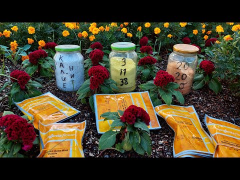 ❗️ПРАВДА КОТОРУЮ ВАМ НИКТО НЕ РАССКАЖЕТ. Удобрения для любых цветочных культур❗️ЭТО ВСЕ СКРЫВАЮТ