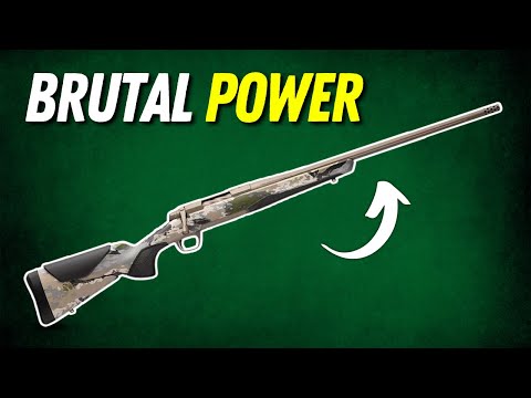5 Hardest-Hitting Hunting Rifle You Need to Know!