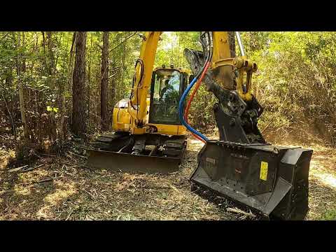 OWNER SAYS NUKE THIS SWAMP! CHALLENGE ACCEPTED LITTLE MUNCHIE!