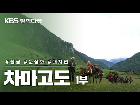 [명작다큐🎖️] 차마고도 茶馬古道 6부작 | 1부 마지막 마방 (KBS 2007.09.05 방송)