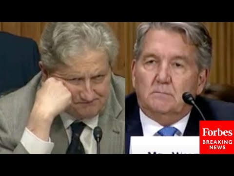 'Look, I'm Not Trying To Pick On You...': John Kennedy Presses Witness In Senate Hearing