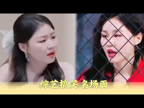 金靖笑場名場面：綜藝直接變相聲，嘉賓忍不住全程爆笑。