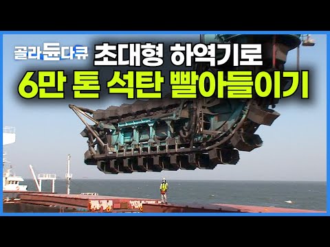 바다 건너 중국에서 싣고 온 6만 톤 석탄! 초대형 하역기로 1시간에 1,500톤 빨아들이기┃거대한 중장비 석탄 하역 전쟁┃전기 만드는 과정┃화력발전소 24시┃극한직업┃#골라듄다큐