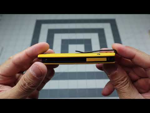 Petrified Fish Baby Beluga